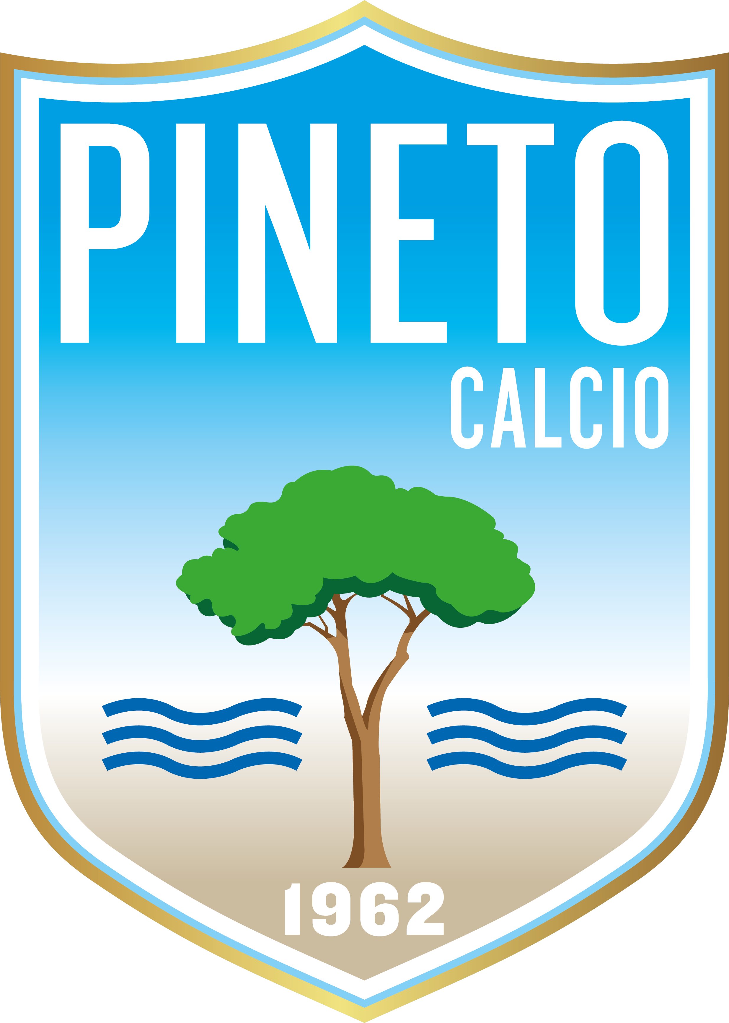 PINETO CALCIO